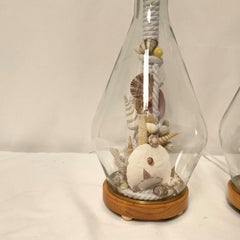 Custom Made Natural Sealife Lamps in Glass