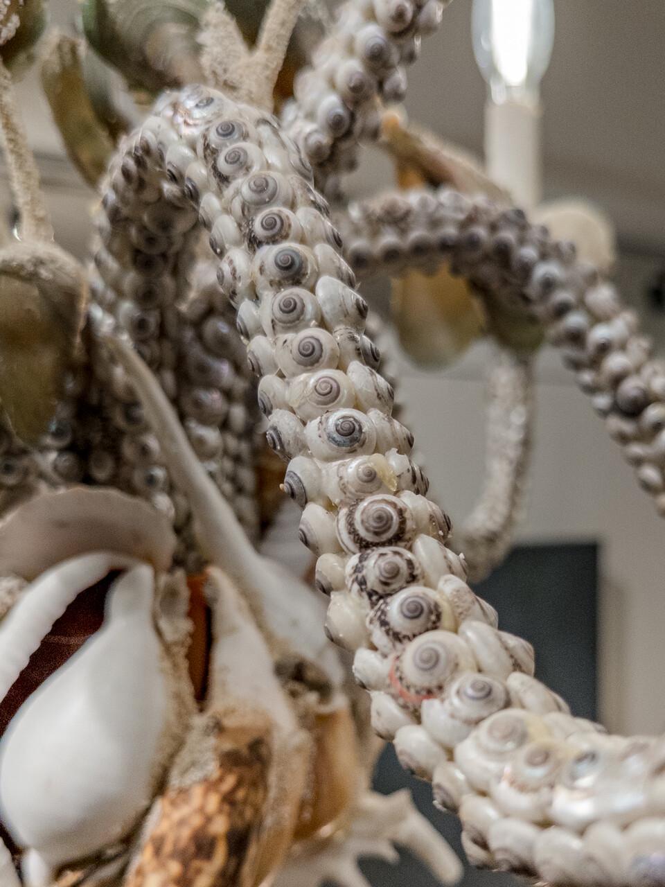 American Custom Made Seashell 6 Bulb Chandelier