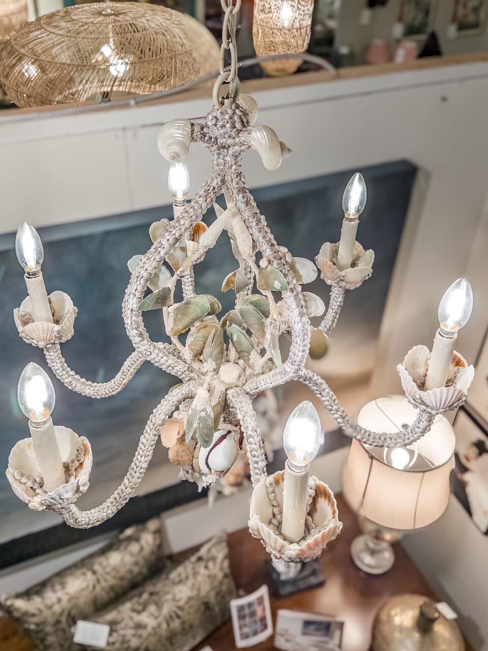 Hand-Crafted Custom Made Seashell 6 Bulb Chandelier For Sale