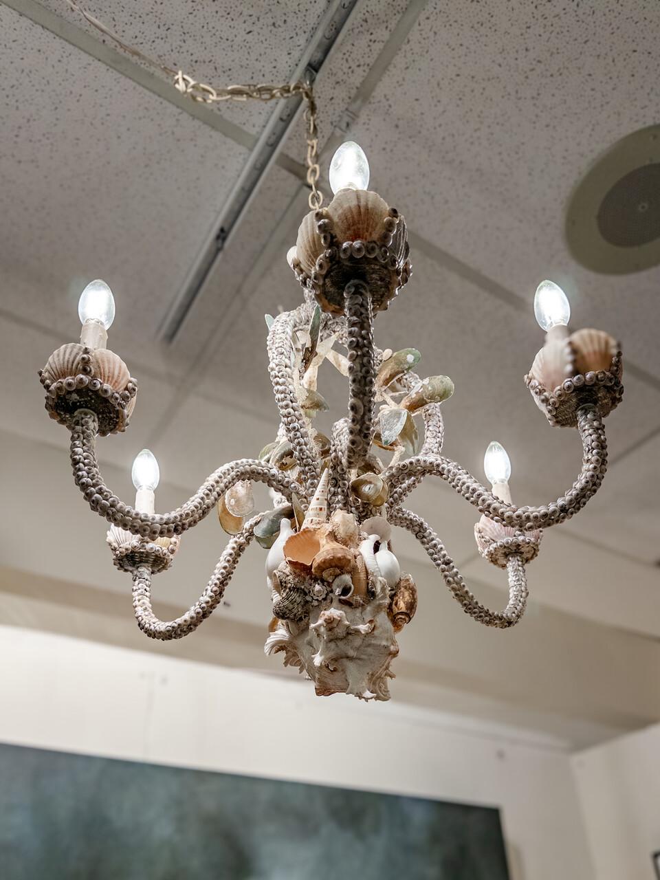 Custom Made Seashell 6 Bulb Chandelier In Good Condition For Sale In Houston, TX