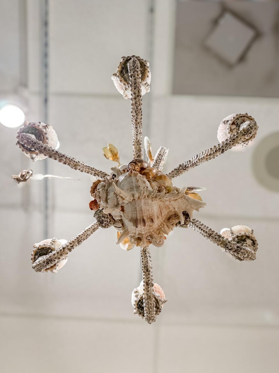 20th Century Custom Made Seashell 6 Bulb Chandelier For Sale