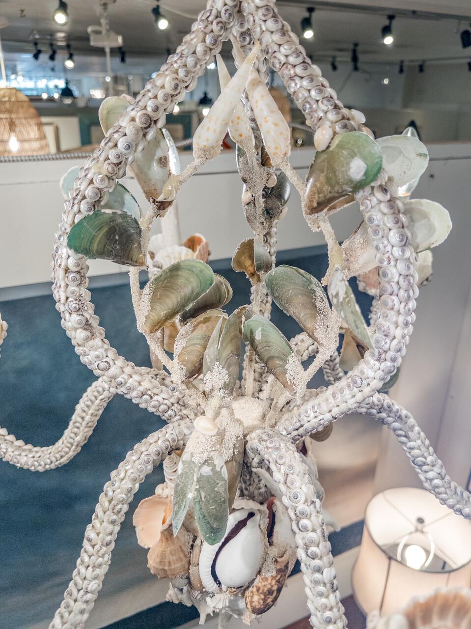 Shell Custom Made Seashell 6 Bulb Chandelier For Sale