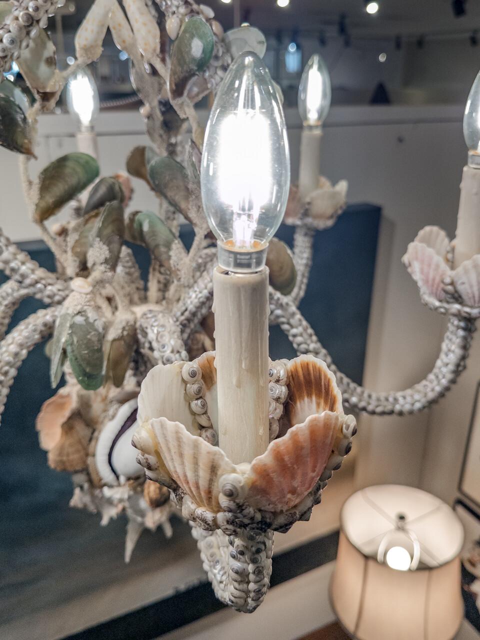 Custom Made Seashell 6 Bulb Chandelier For Sale 1