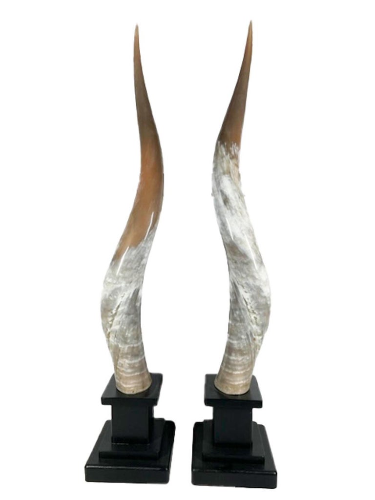 Custom Mounted Pair of Matching Long Horn Steer Horns For Sale at 1stDibs