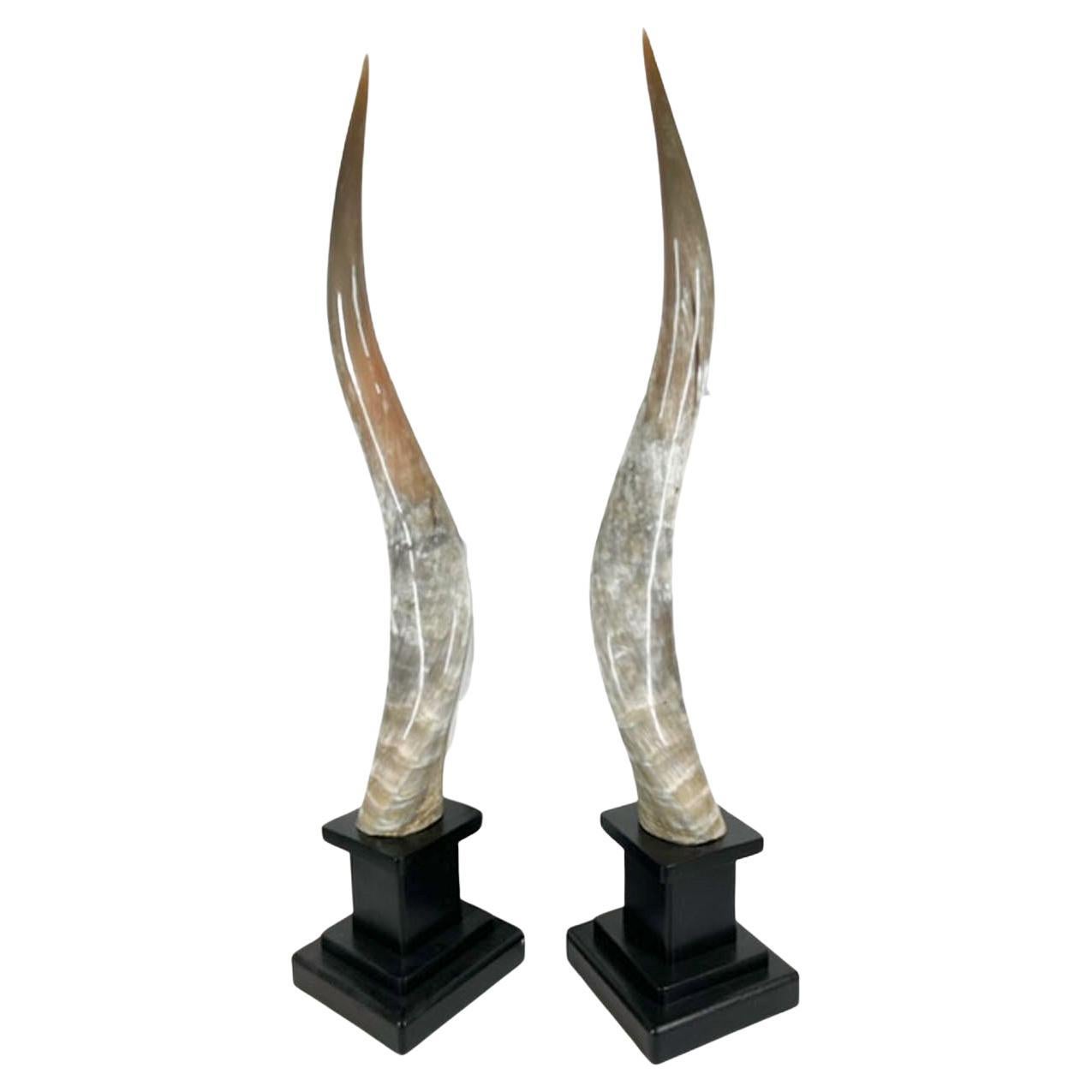 Custom Mounted Pair of Matching Long Horn Steer Horns For Sale