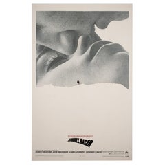 Vintage Custom Order - Downhill Racer and Lillet Posters