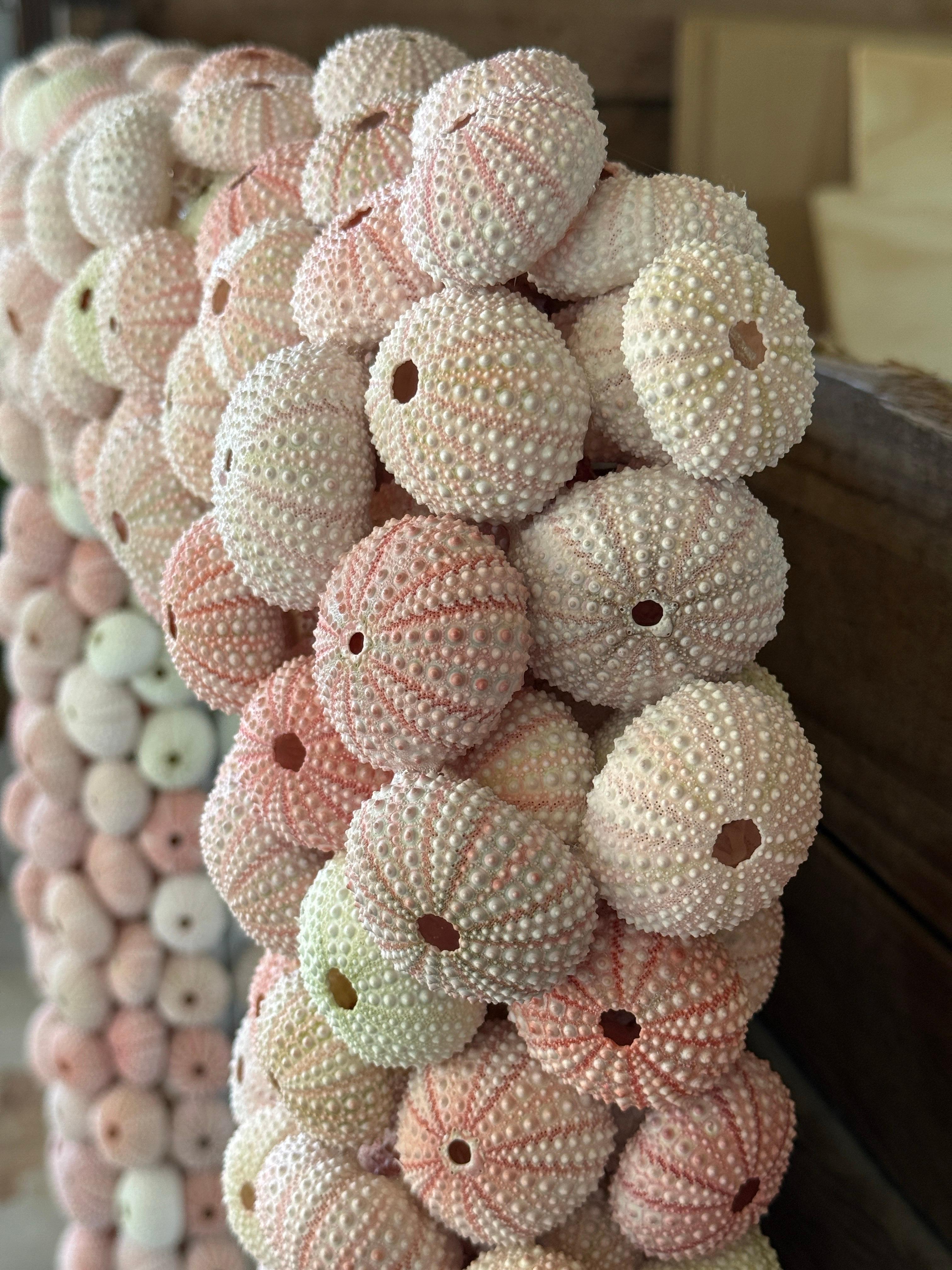 Custom Organic Coastal Wall Mirror With Varying Pink Sea Urchins 3