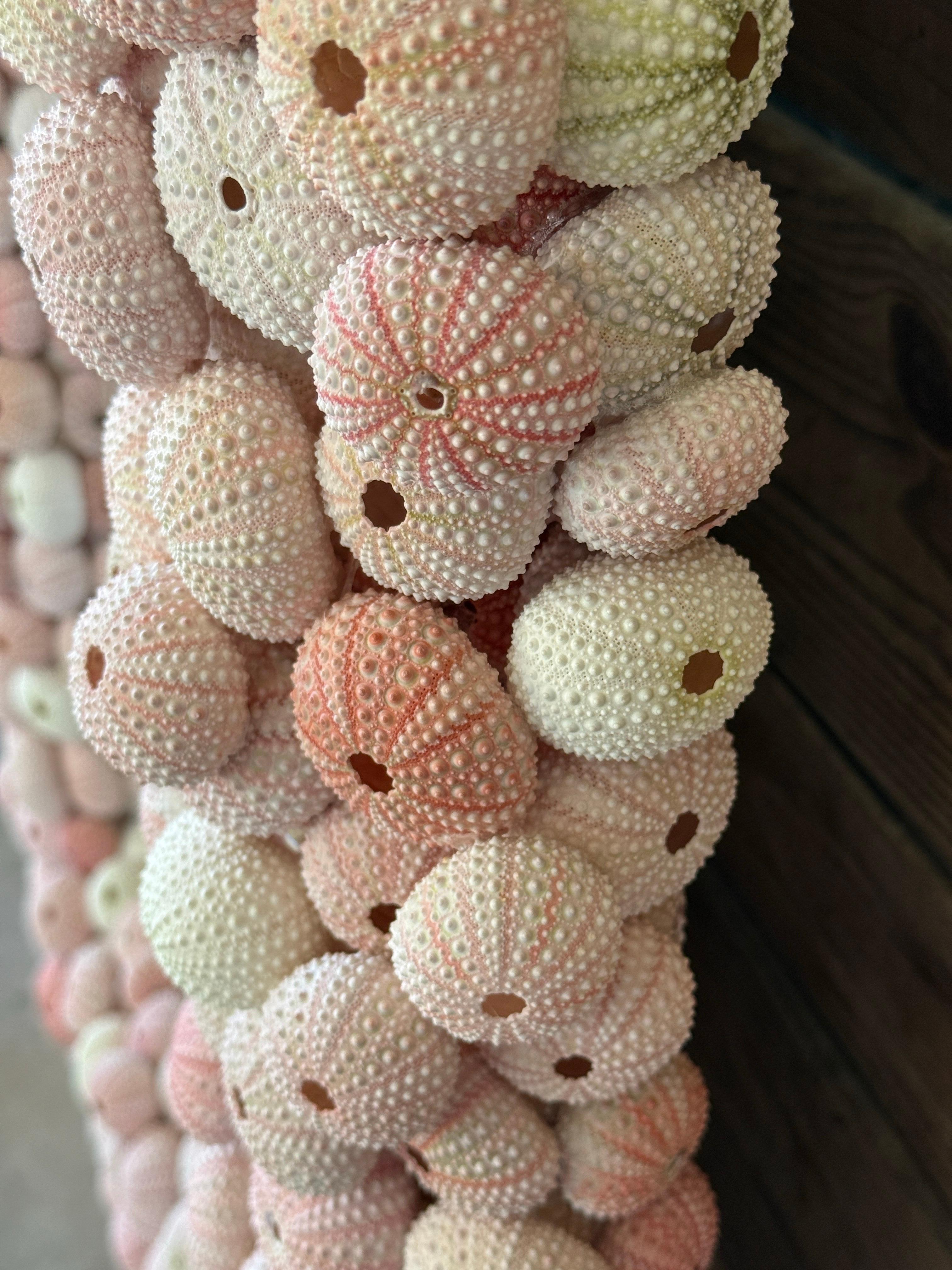 Custom Organic Coastal Wall Mirror With Varying Pink Sea Urchins 4