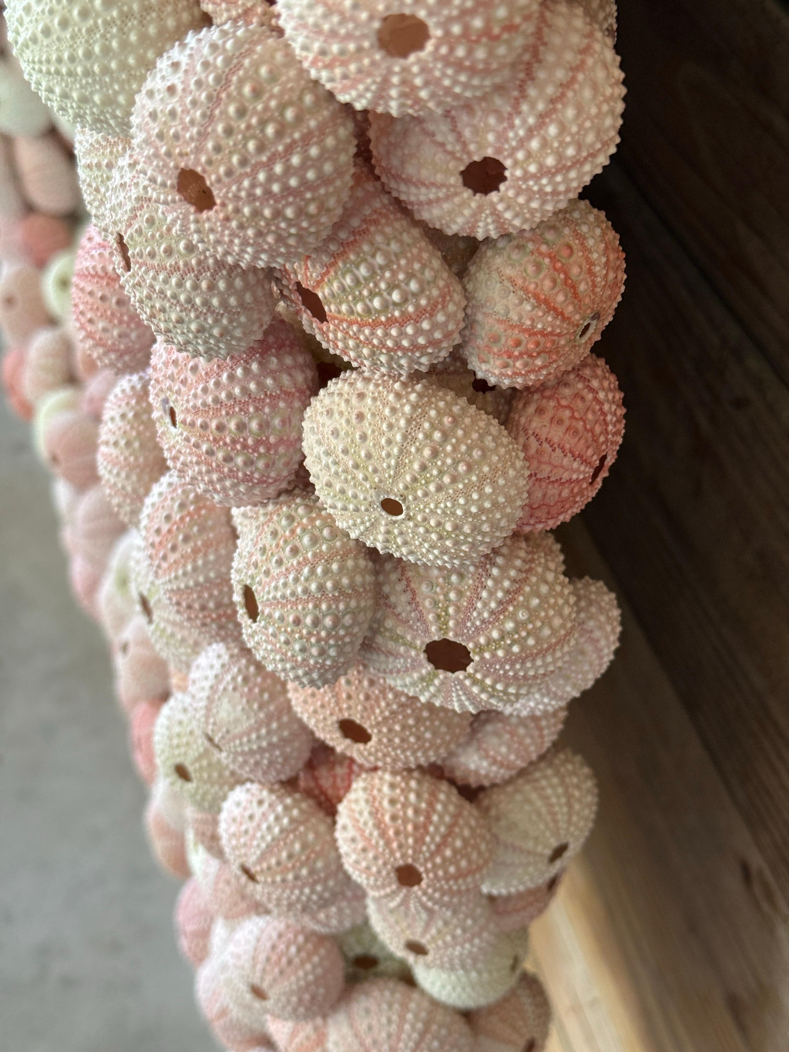 Custom Organic Coastal Wall Mirror With Varying Pink Sea Urchins 5