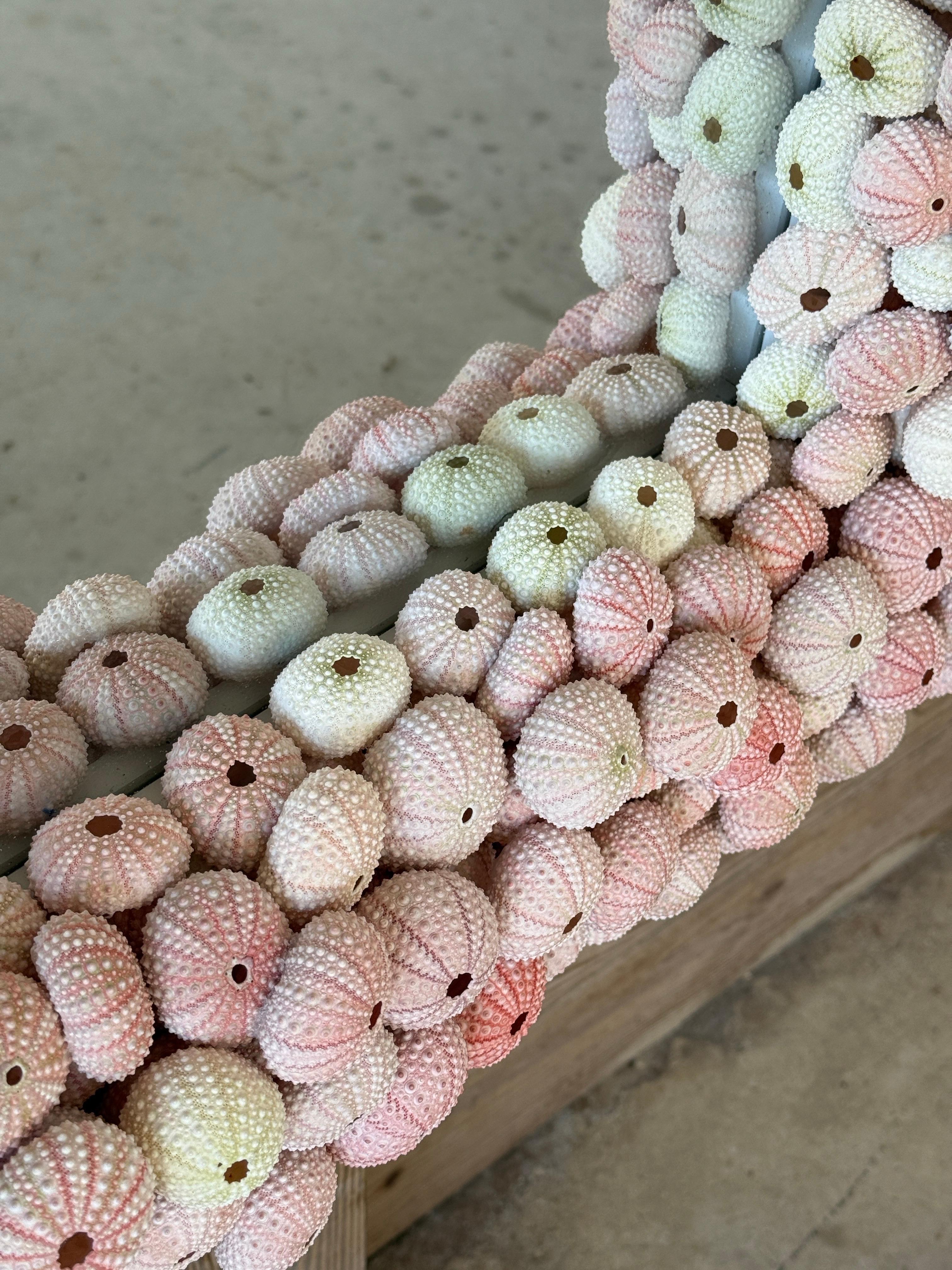 Custom Organic Coastal Wall Mirror With Varying Pink Sea Urchins 6