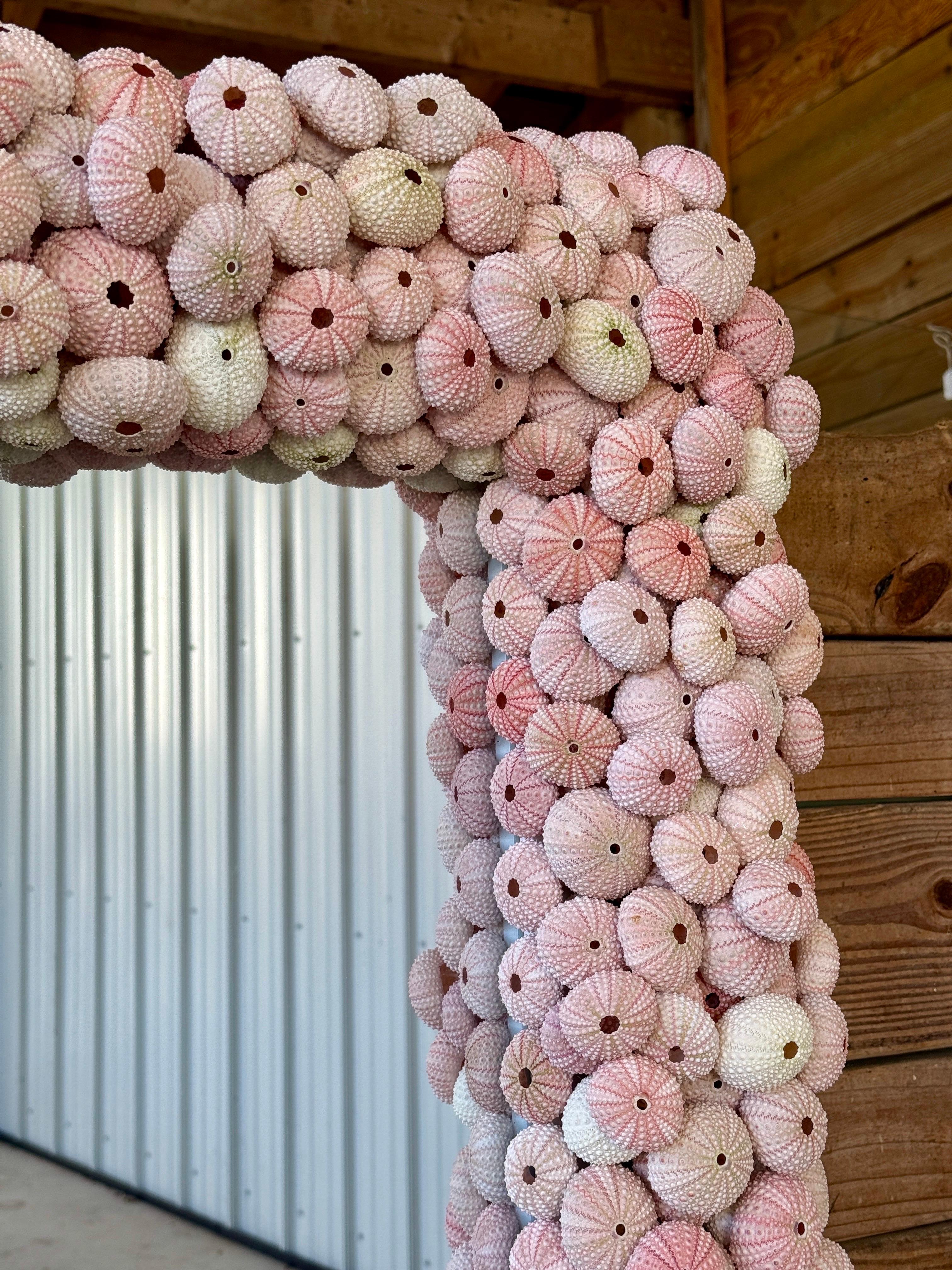 Arts and Crafts Custom Organic Coastal Wall Mirror With Varying Pink Sea Urchins