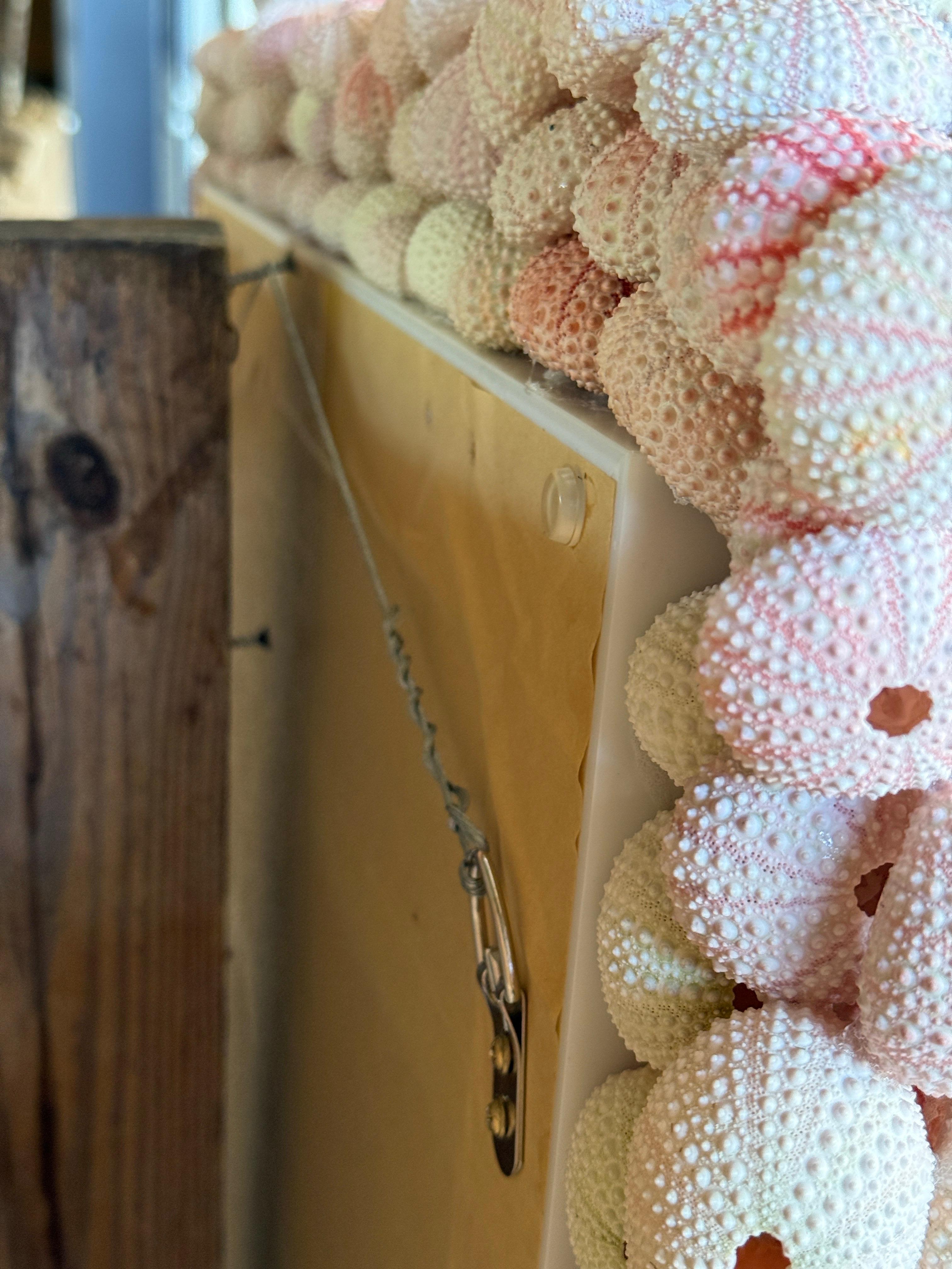 Contemporary Custom Organic Coastal Wall Mirror With Varying Pink Sea Urchins