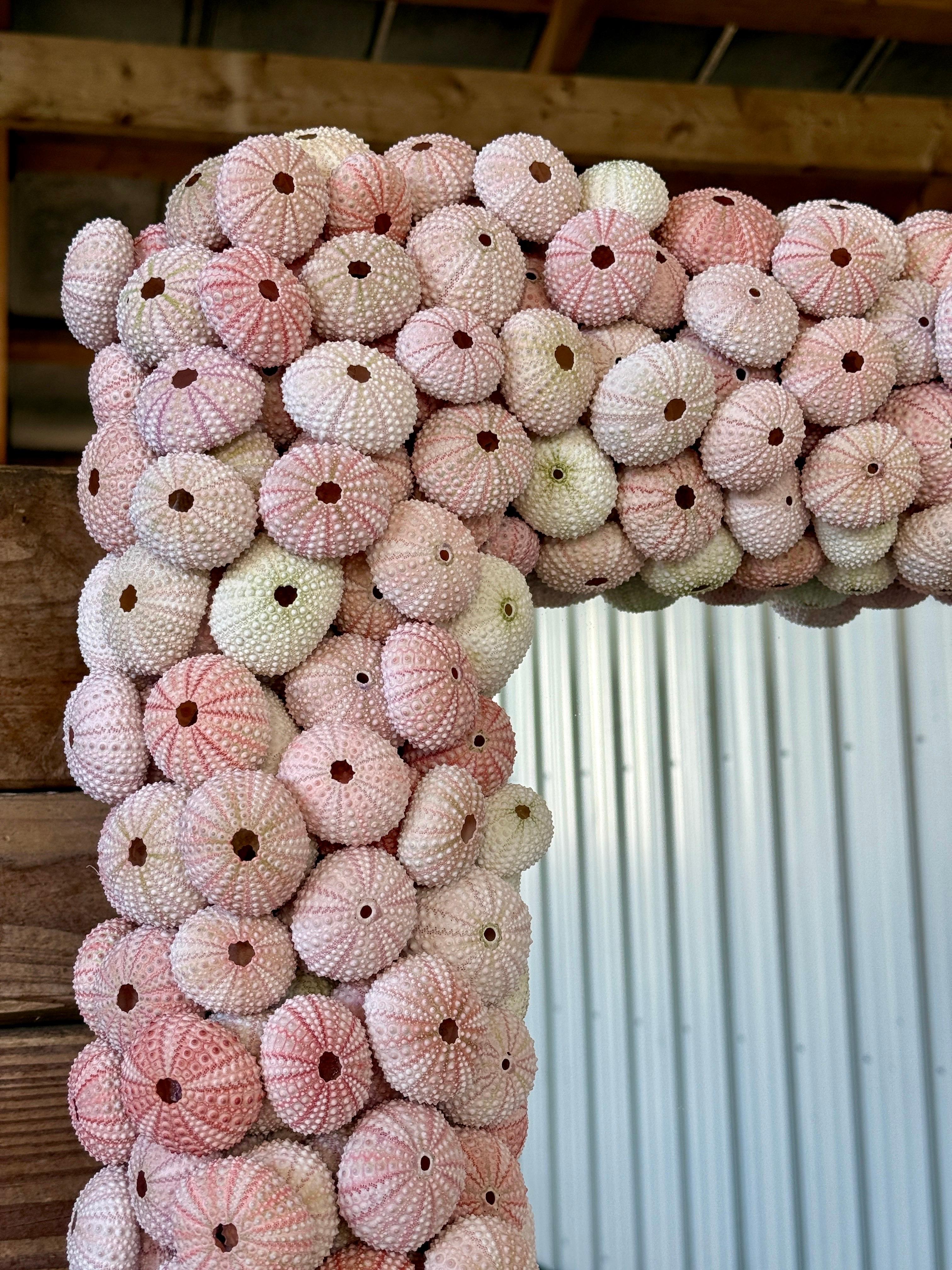 Shell Custom Organic Coastal Wall Mirror With Varying Pink Sea Urchins