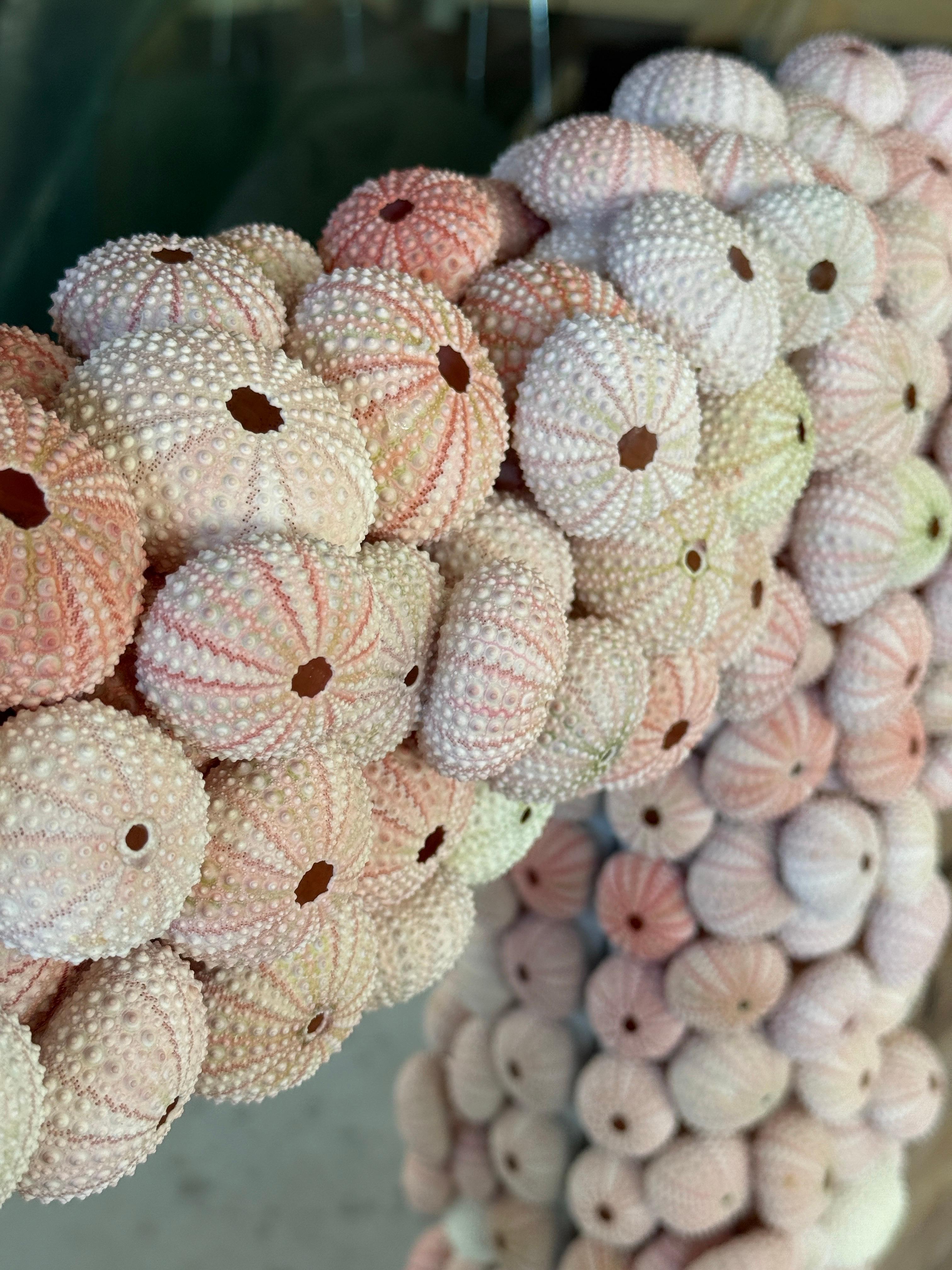 Custom Organic Coastal Wall Mirror With Varying Pink Sea Urchins 2