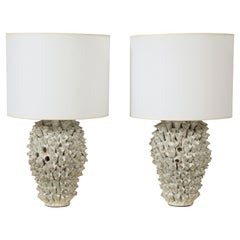 Custom Pair of Barnacle Ceramic Lamps