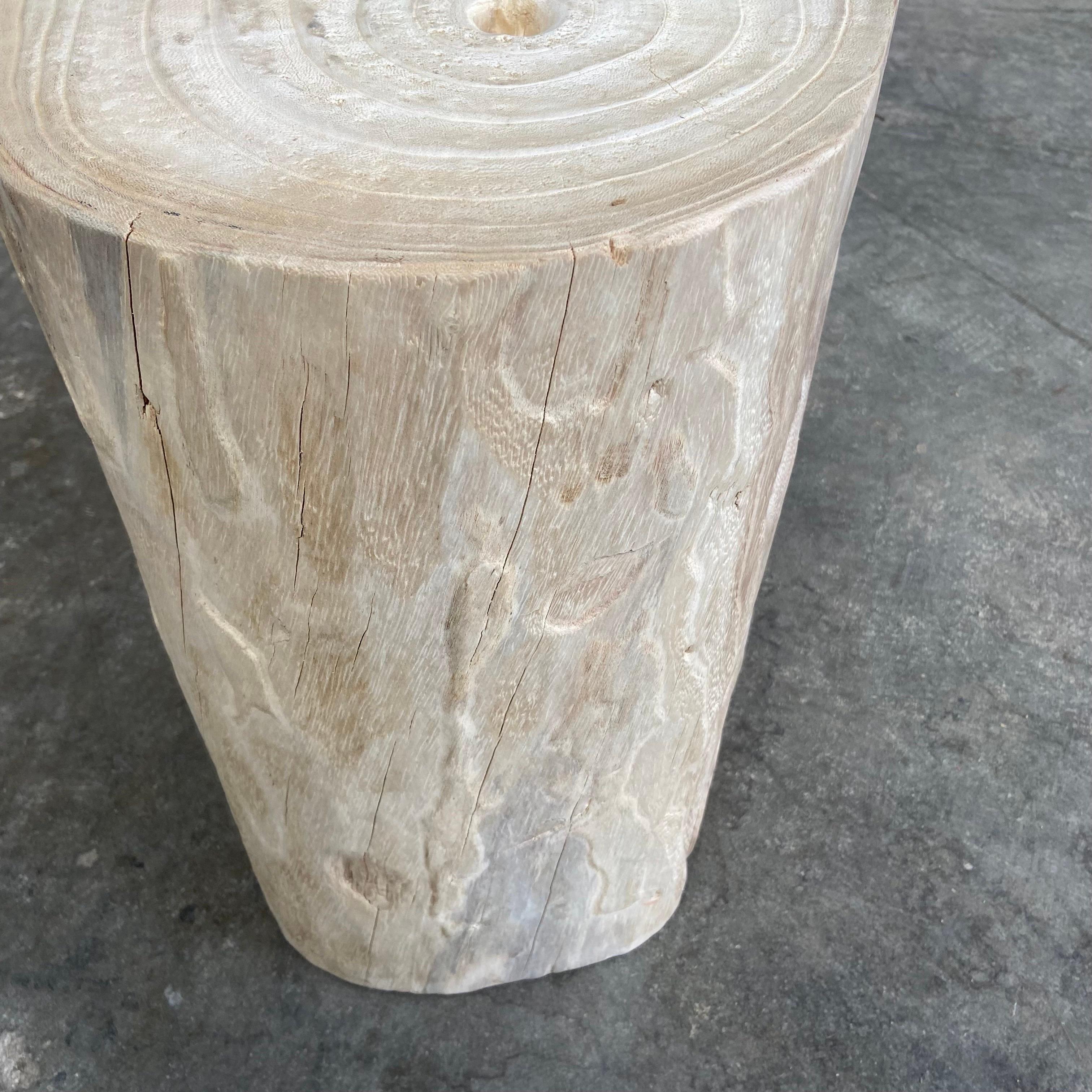 Natural Wood Stump Stool or Side Table 3