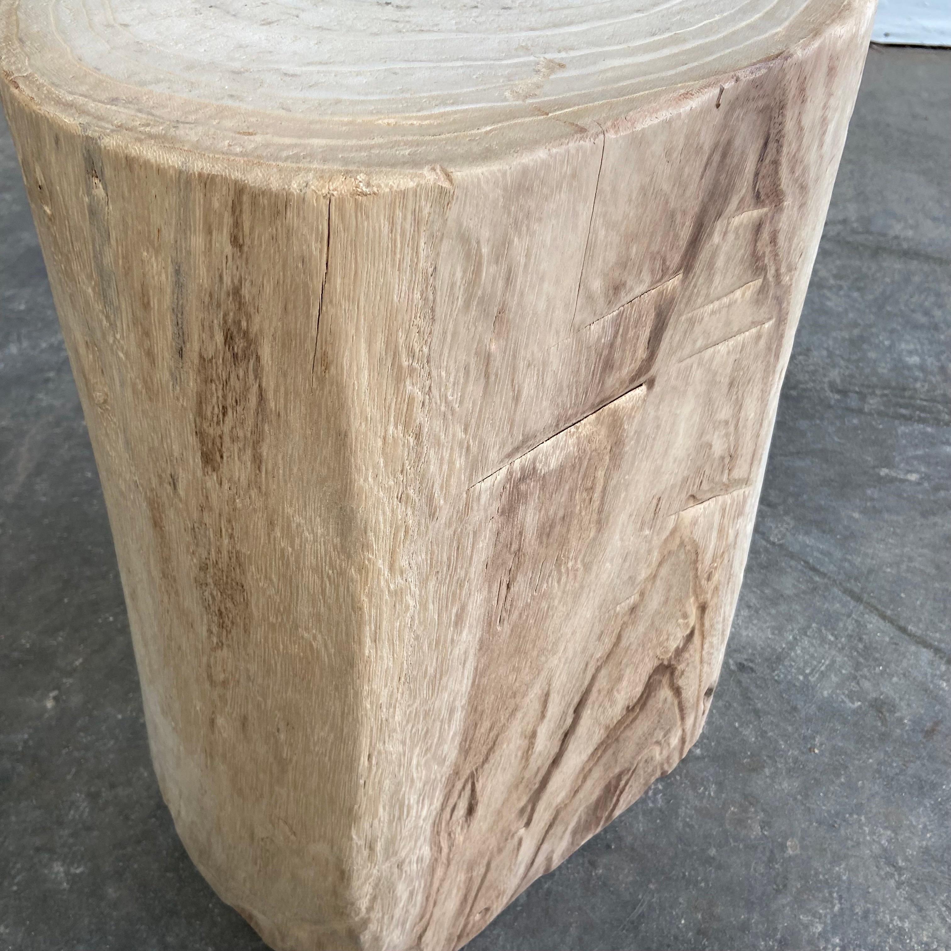 Natural Wood Stump Stool or Side Table 2