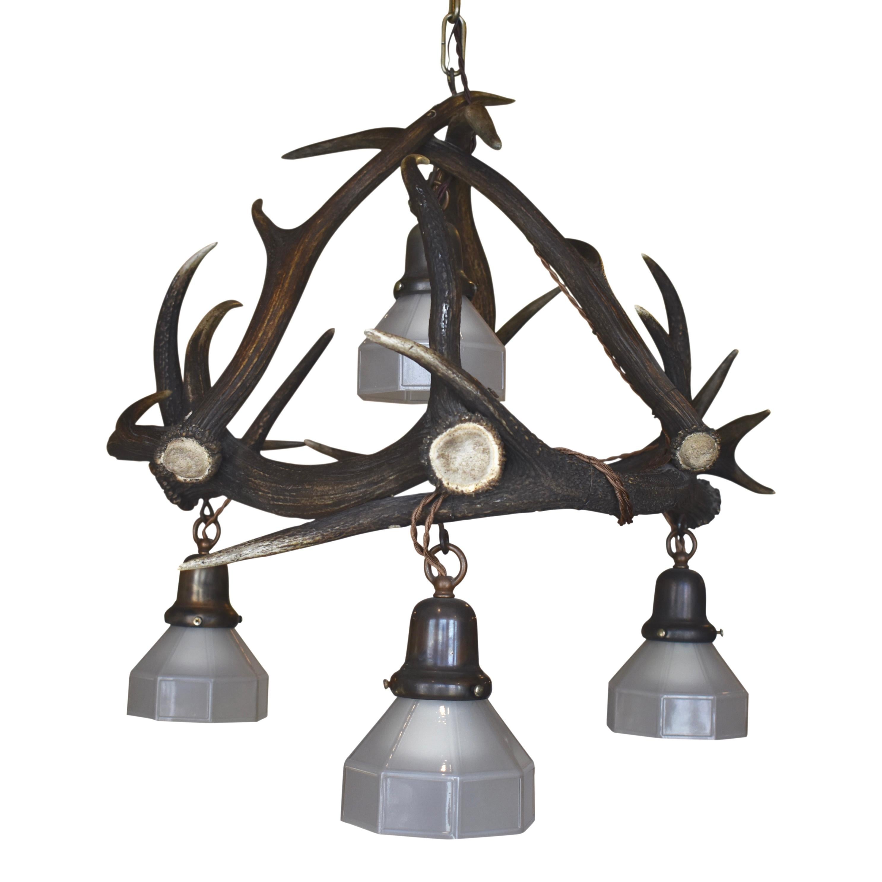 stag ceiling light