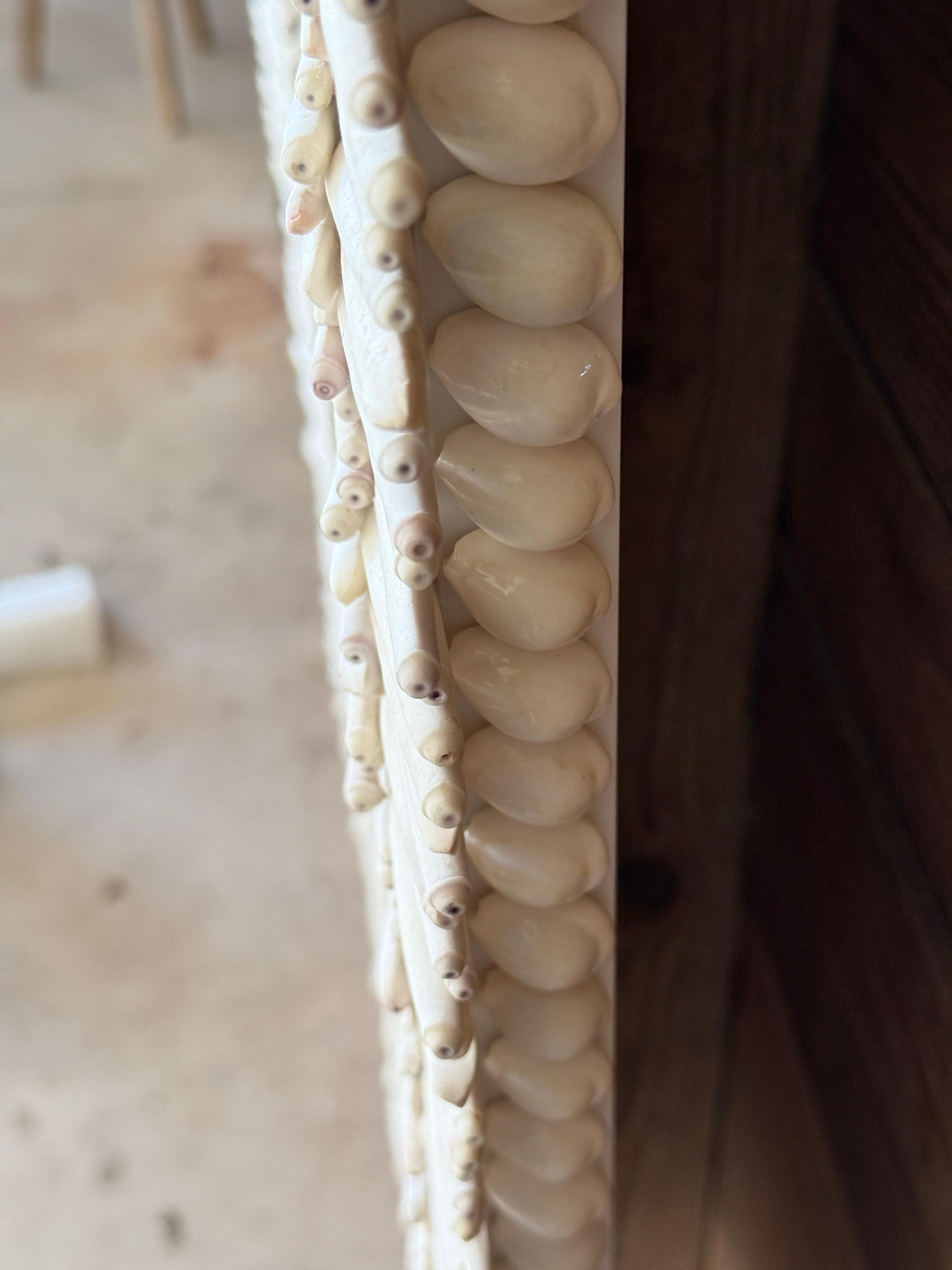 Custom Sculptural Albino Sea Urchin Spine Shell Mirror Trimmed in Cowrie Shells 4