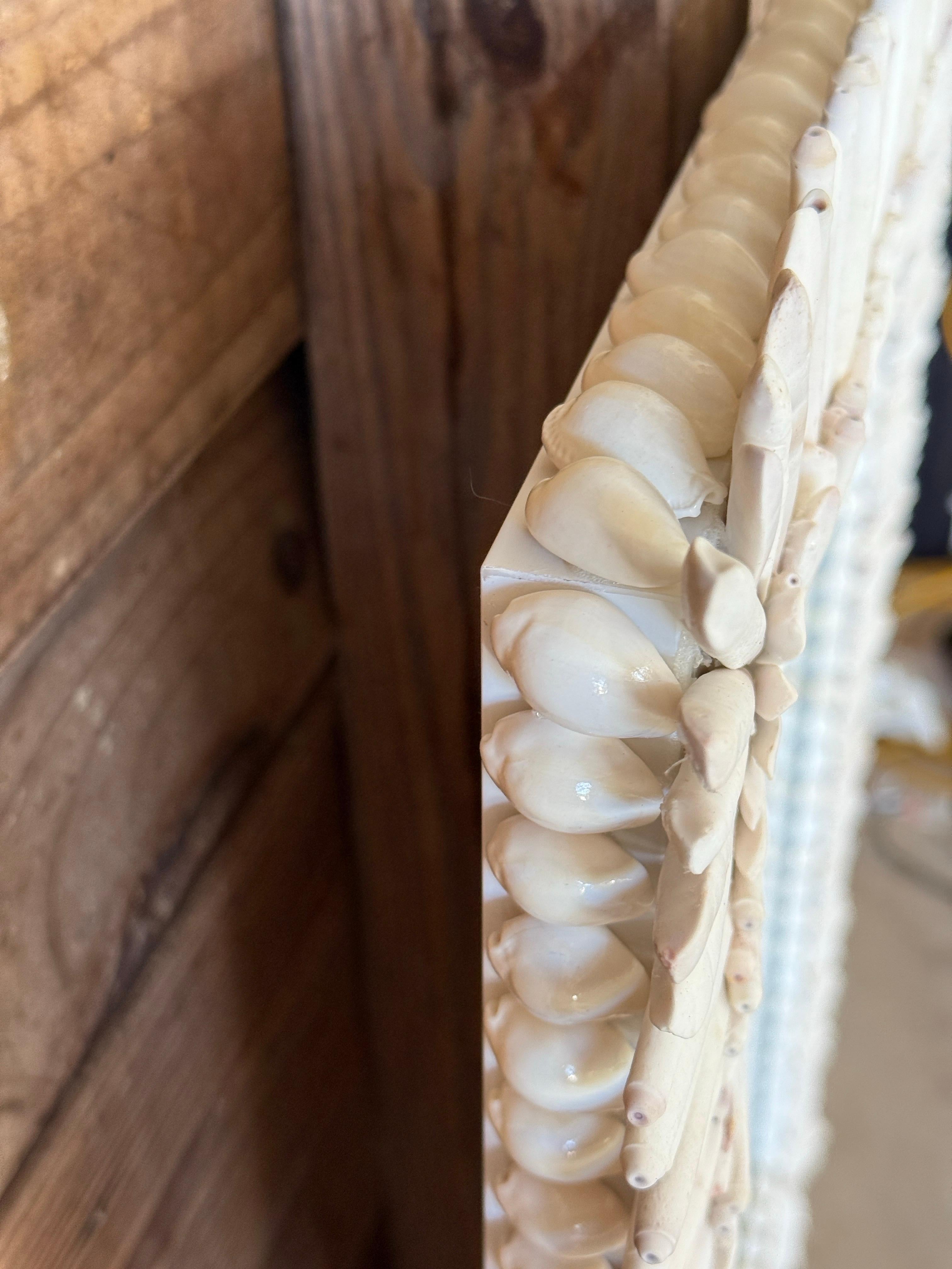 Custom Sculptural Albino Sea Urchin Spine Shell Mirror Trimmed in Cowrie Shells 5
