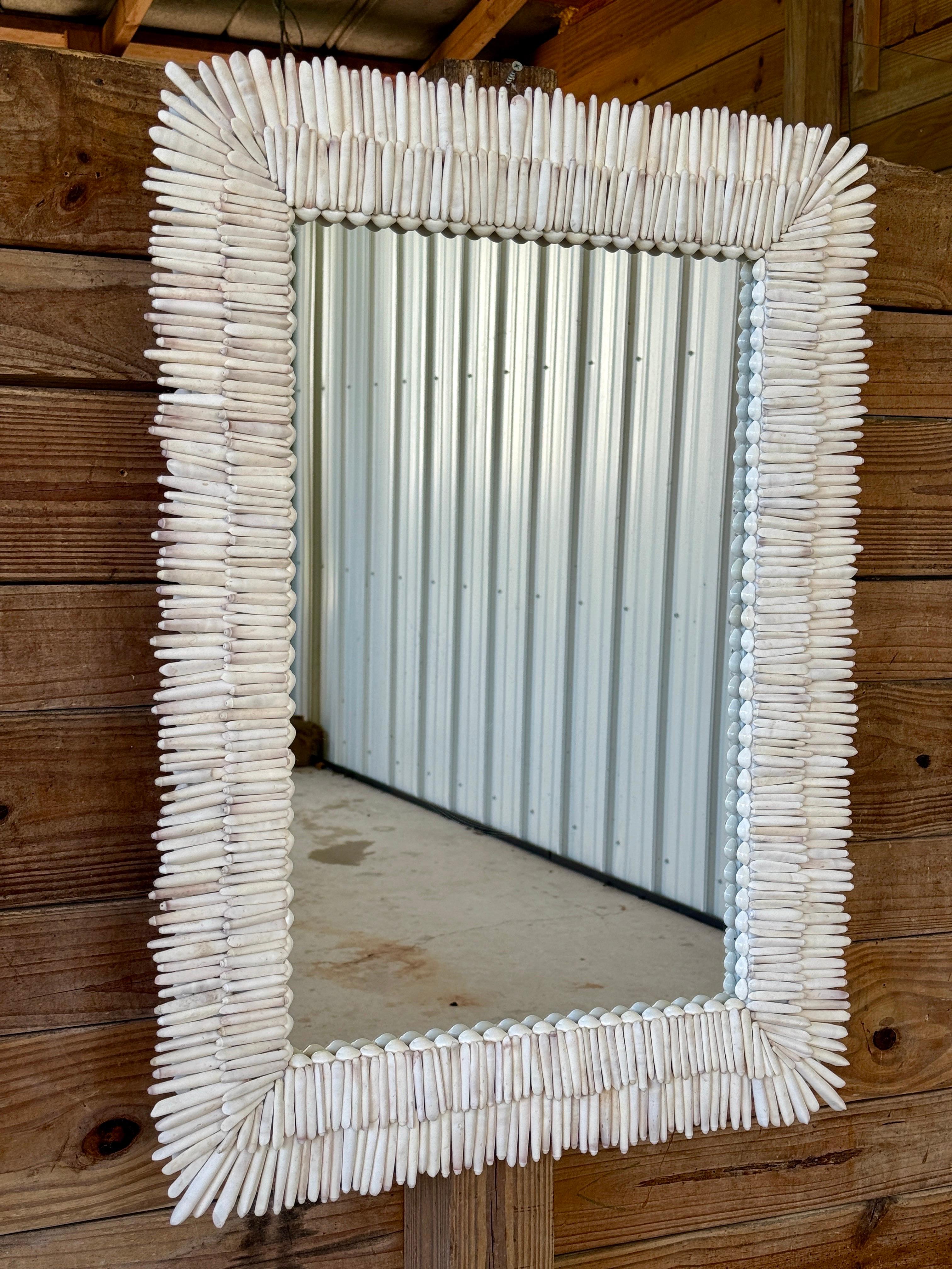 Custom Sculptural Albino Sea Urchin Spine Shell Mirror Trimmed in Cowrie Shells 6