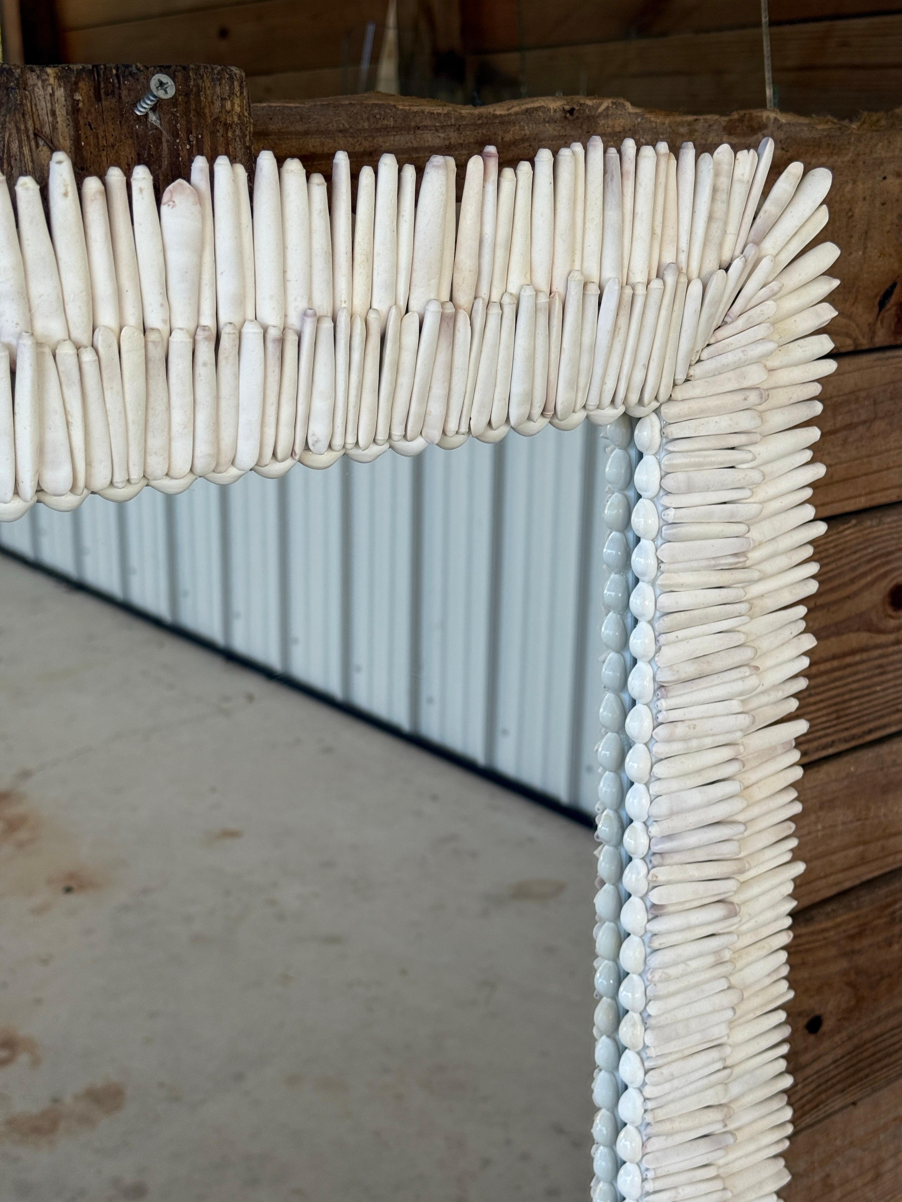 American Custom Sculptural Albino Sea Urchin Spine Shell Mirror Trimmed in Cowrie Shells