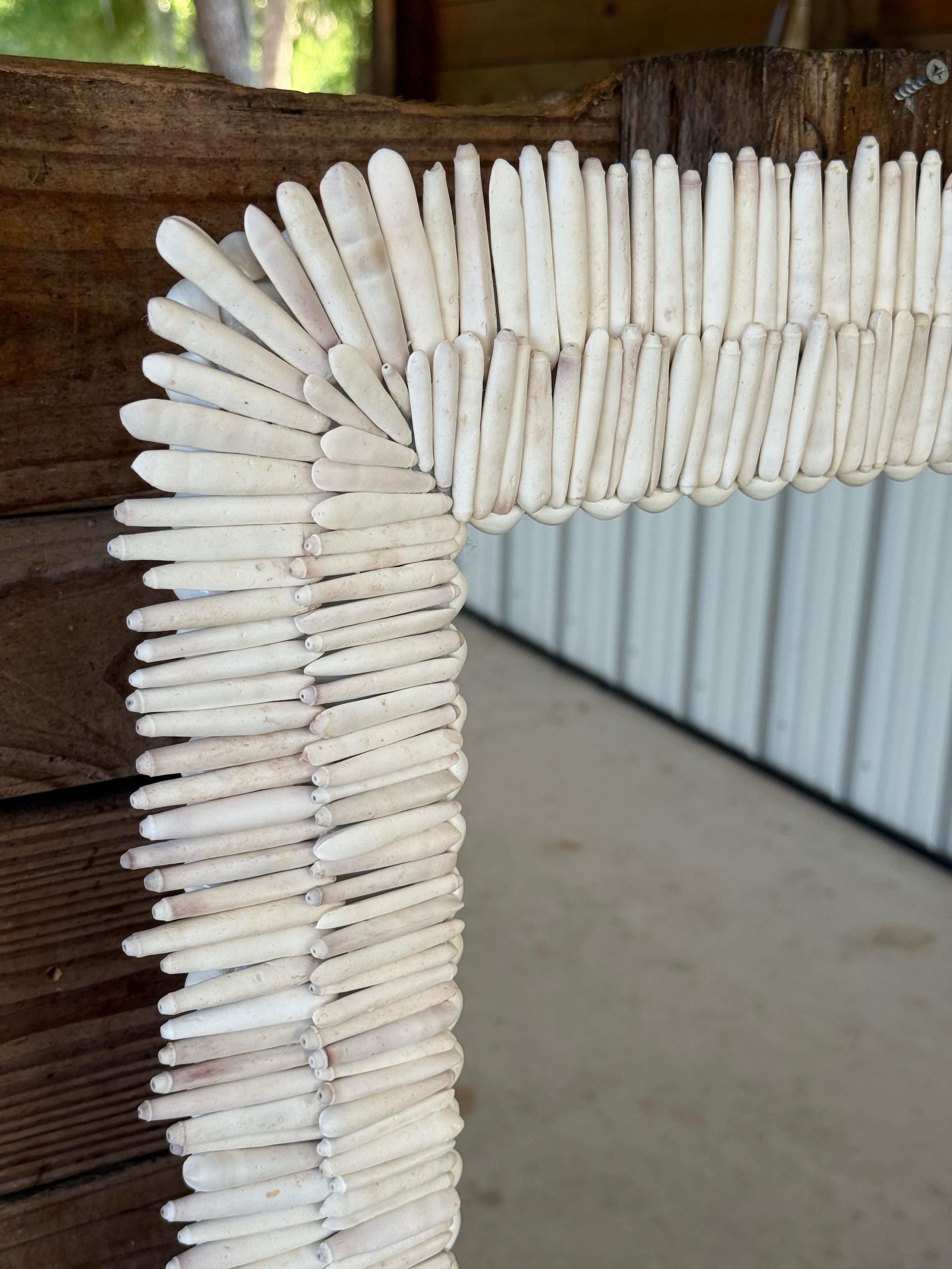 Contemporary Custom Sculptural Albino Sea Urchin Spine Shell Mirror Trimmed in Cowrie Shells