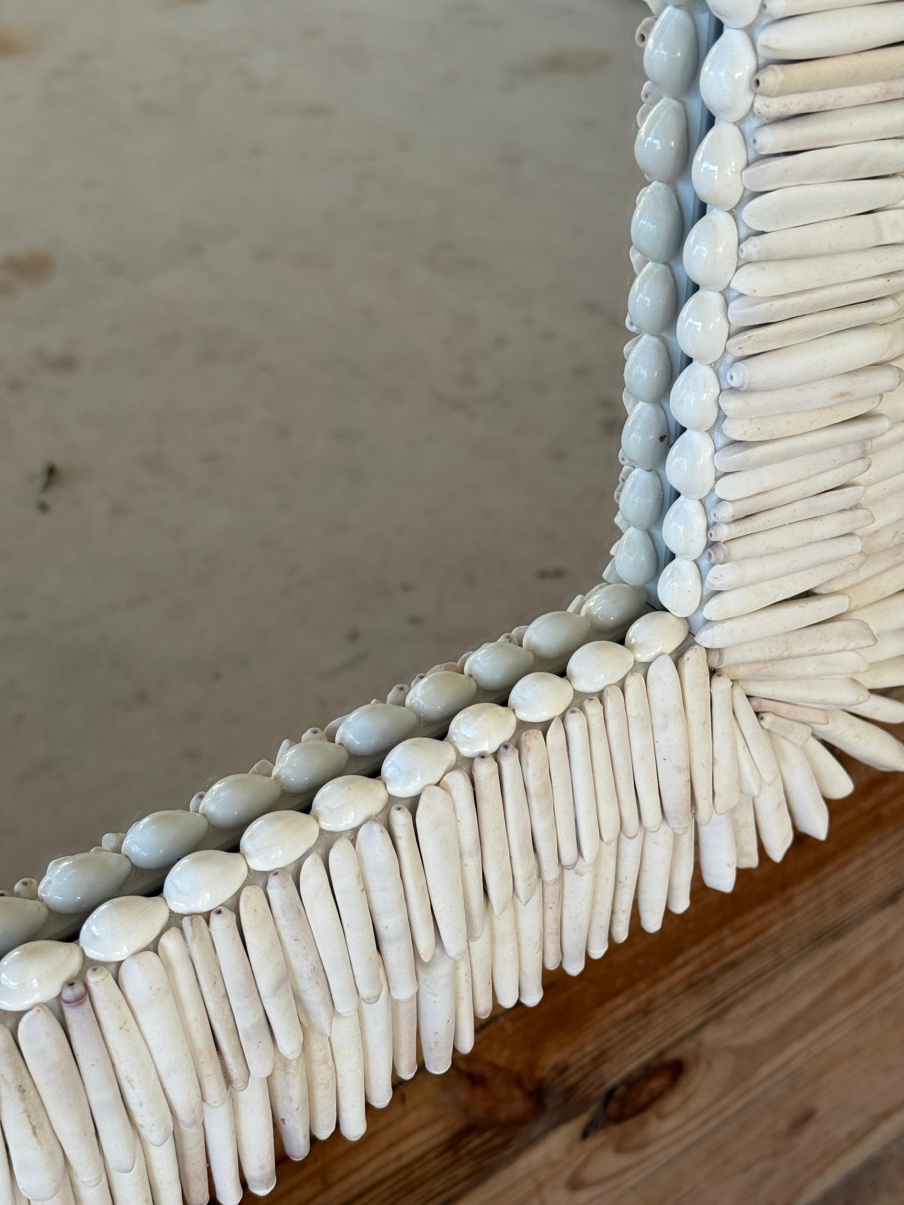 Custom Sculptural Albino Sea Urchin Spine Shell Mirror Trimmed in Cowrie Shells 1
