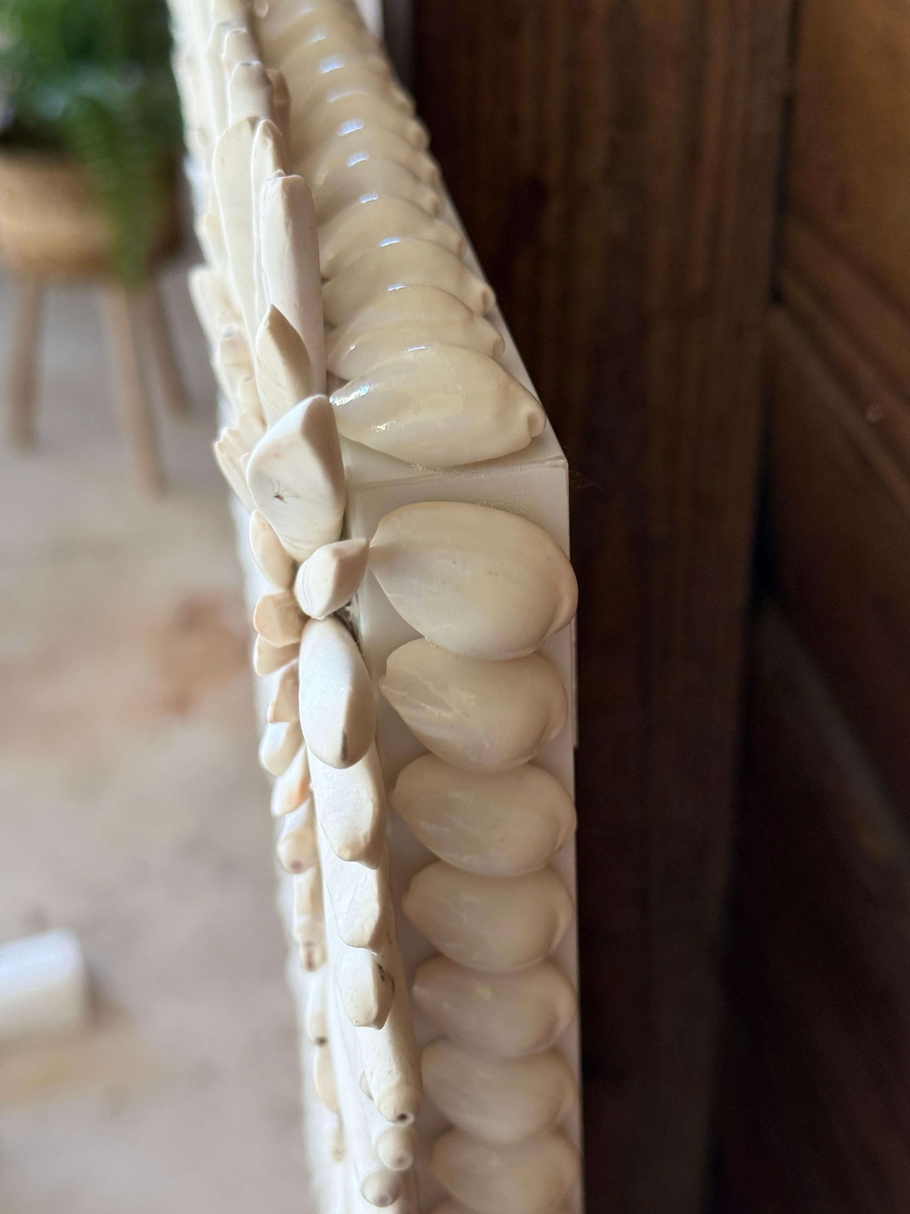 Custom Sculptural Albino Sea Urchin Spine Shell Mirror Trimmed in Cowrie Shells 2