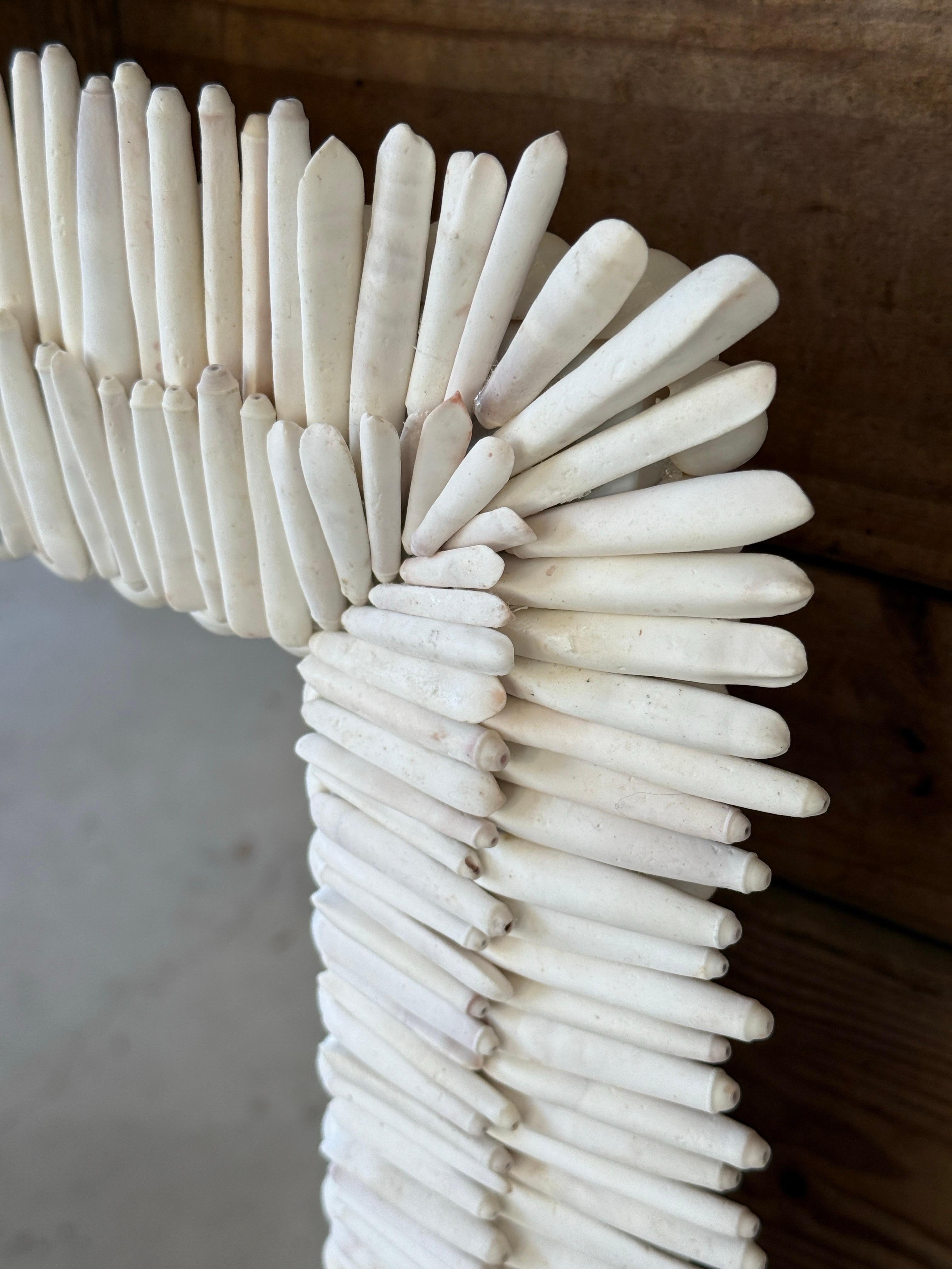 Custom Sculptural Albino Sea Urchin Spine Shell Mirror Trimmed in Cowrie Shells 3