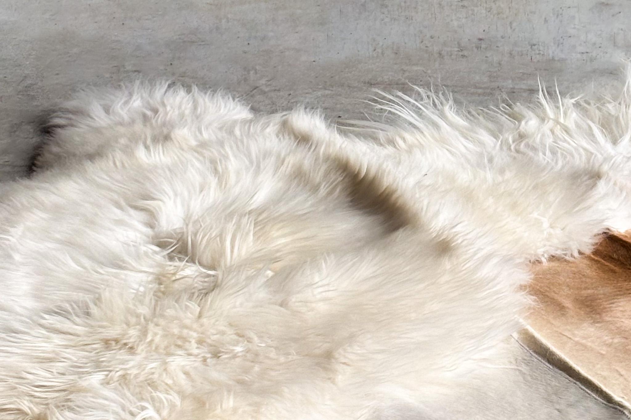 Schafsfell nach Maß von Carine Boxy -- Orange-Off-White-Teppich (Belgisch) im Angebot