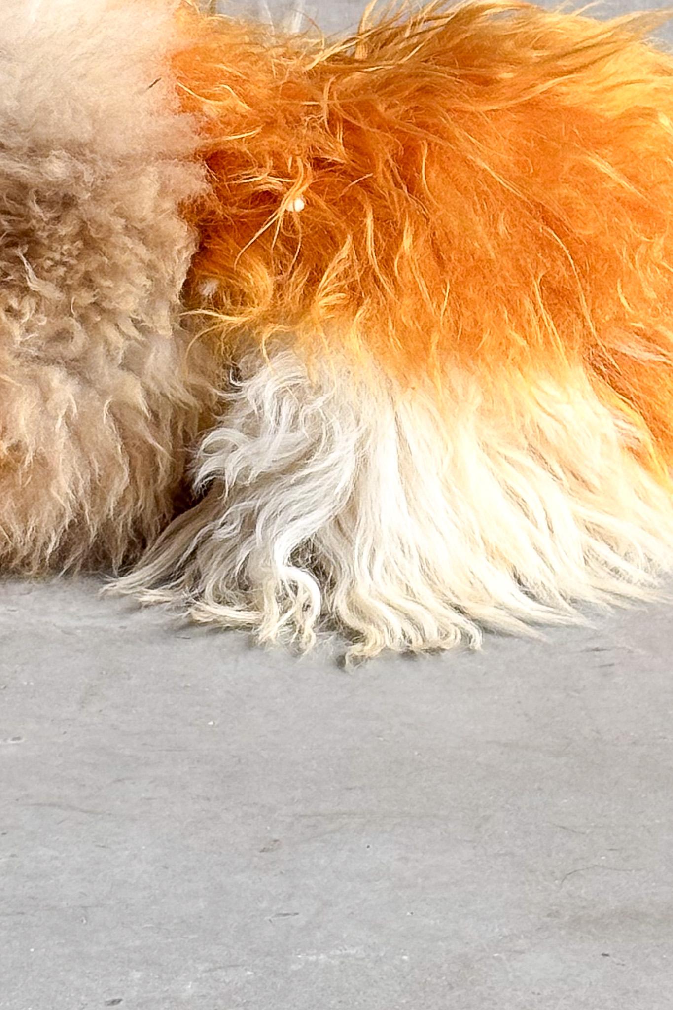 This unique curry orange sheepskin pouf by Belgian artist Carine Boxy, embodies her signature approach to craftsmanship and natural materials. Handcrafted from naturally dyed sheepskin, each piece is one of a kind, offering a rich texture and