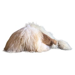 Custom sheepskin Sculptural by Carine Boxy -- "Gloire" sand cushion