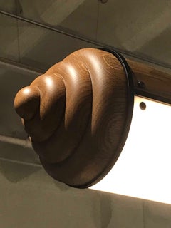 Custom Woody Endless - 5 Units by Jason Miller