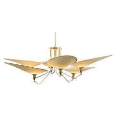 Customisable Spider Ceiling Light Italian Design by Diego Mardegan