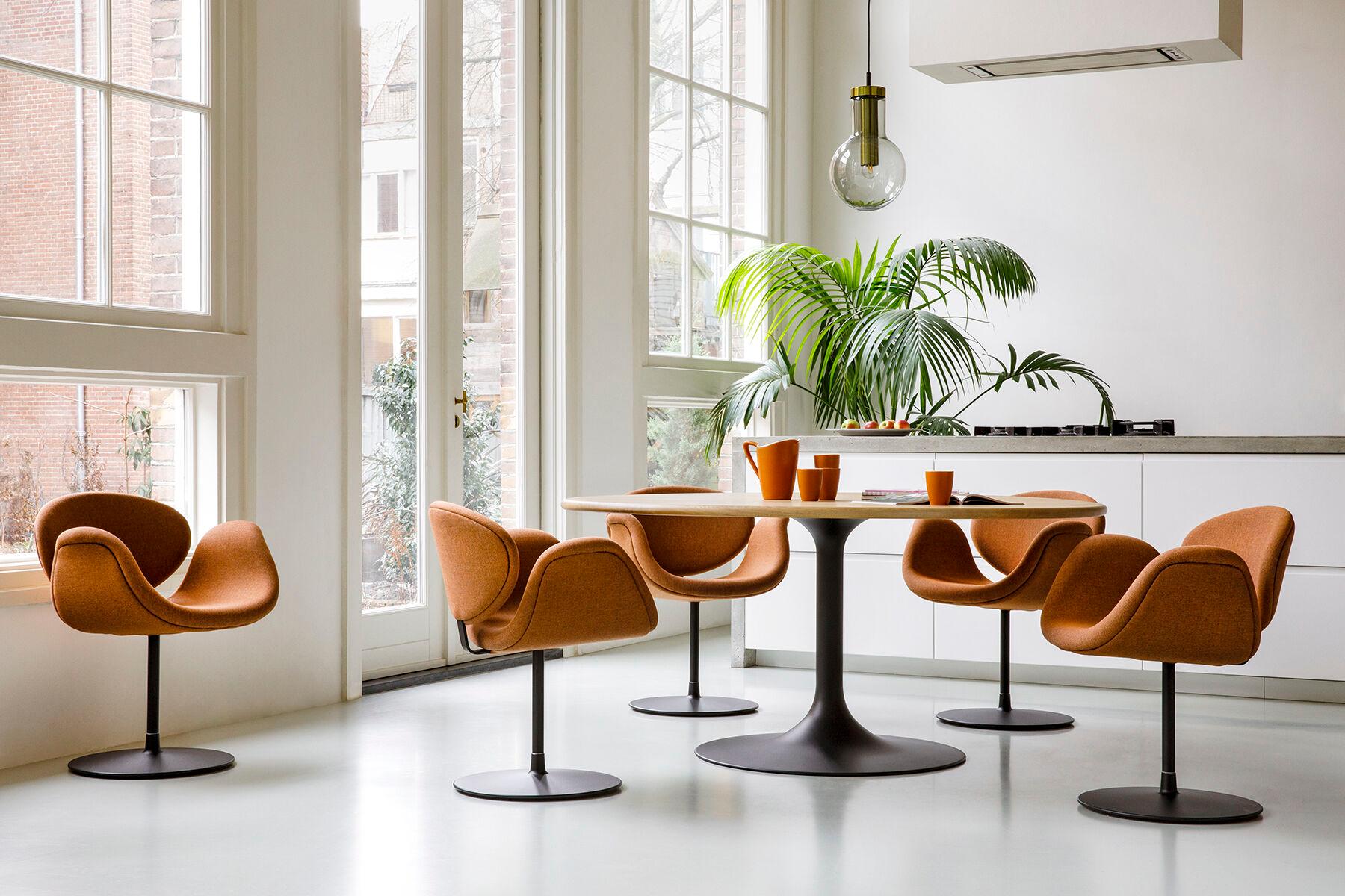 Vinyl
The Tulip Midi was the missing member of the Tulip family for a long time. The armchair was designed by Pierre Paulin in 1960 and now completes the Tulip series for Artifort. In terms of its dimensions, this midsize armchair is the perfect