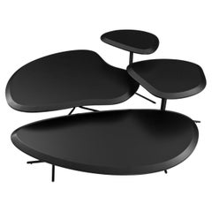 Customizable Black Coffee Table Set, Organic Modern Design – Pantê Collection
