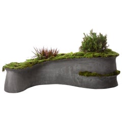 Antique Concrete Barchan Planter by OPIARY (L58", W32", H14")