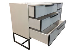Mid-century Modern Style Gray Leather Chest with Metal Base by Ercole Home