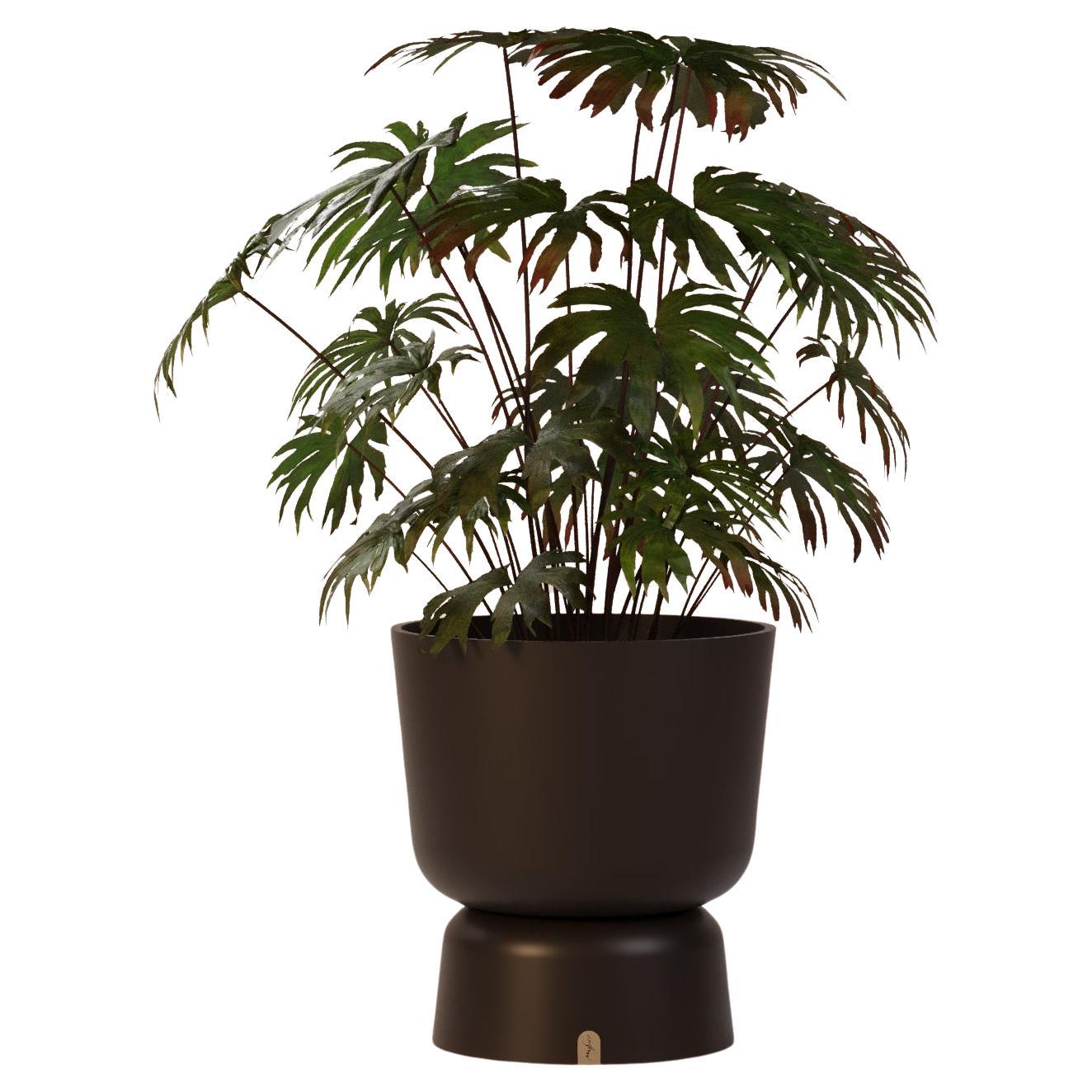 Adjustable Outdoor Planter Made for Fiberglass