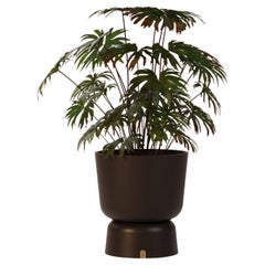 Adjustable Outdoor Planter Made for Fiberglass