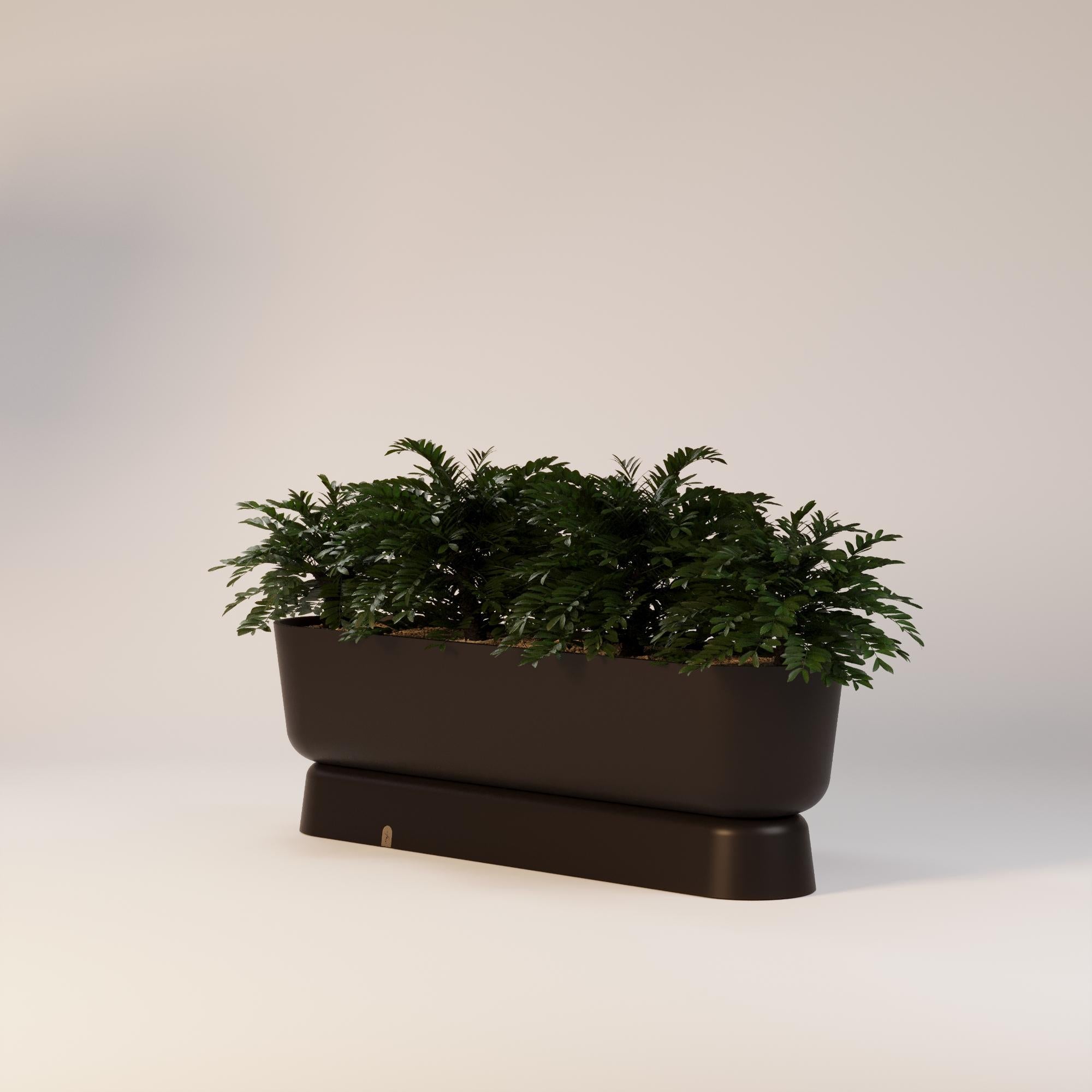 Fioriera Eden 

Questa splendida fioriera è perfetta per esporre le tue piante preferite e aggiungerà un tocco di eleganza a qualsiasi spazio.
La fioriera Eden è stata progettata per essere resistente ed elegante. La fioriera ha un design elegante e
