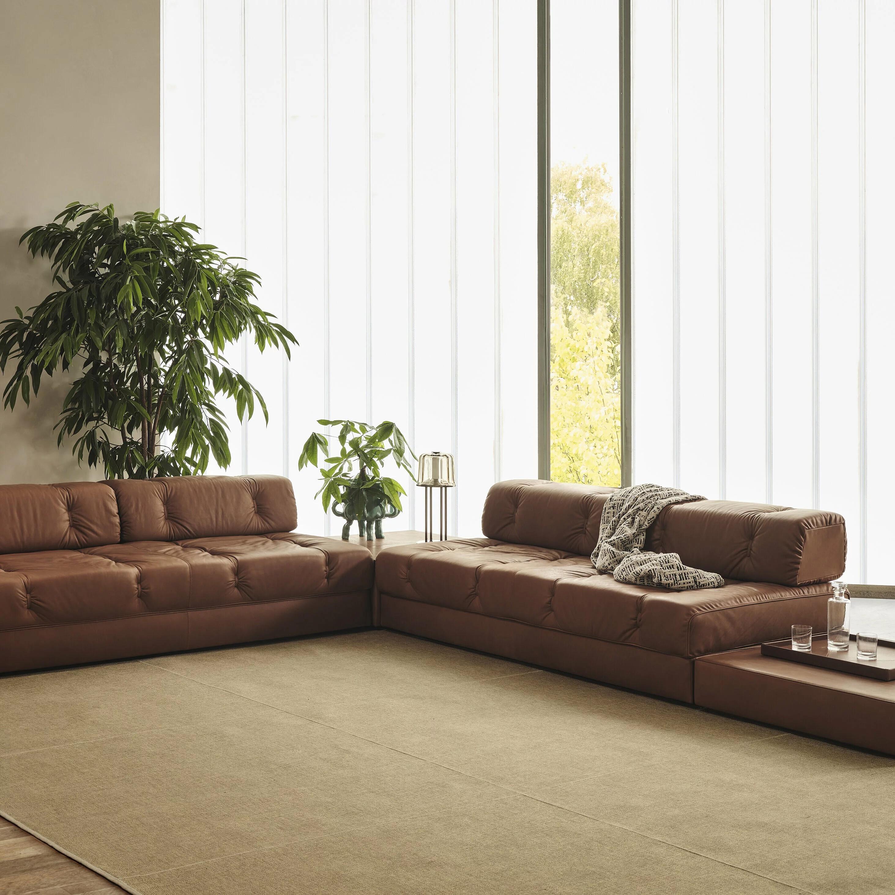 Customizable Wittmann Atrium Sofabed by Wittmann Workshop For Sale 1