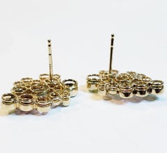 Customized Constellation Cluster Earrings