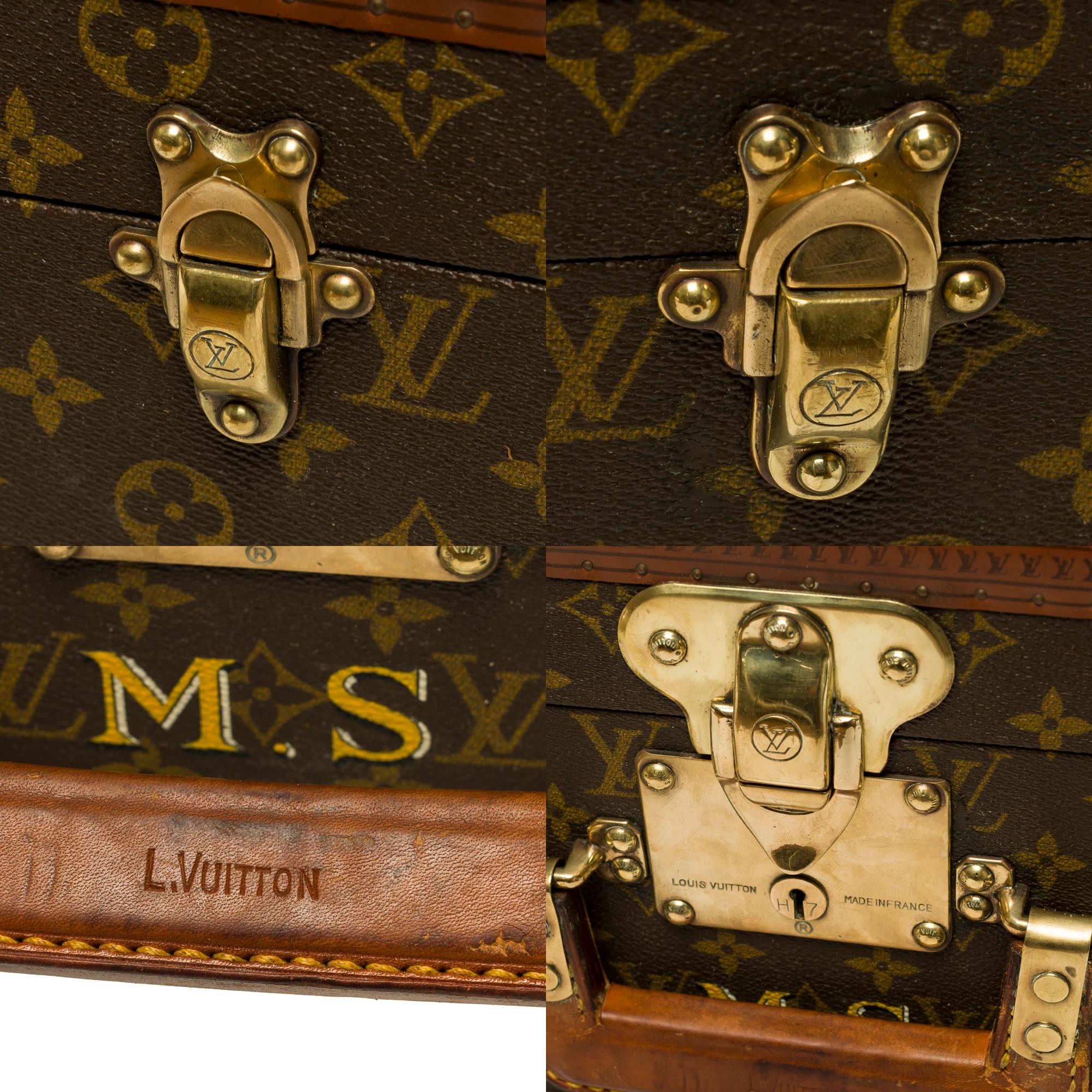 Customized Louis Vuitton Bisten 60 Dog Kennel for small dog in brown canvas 2