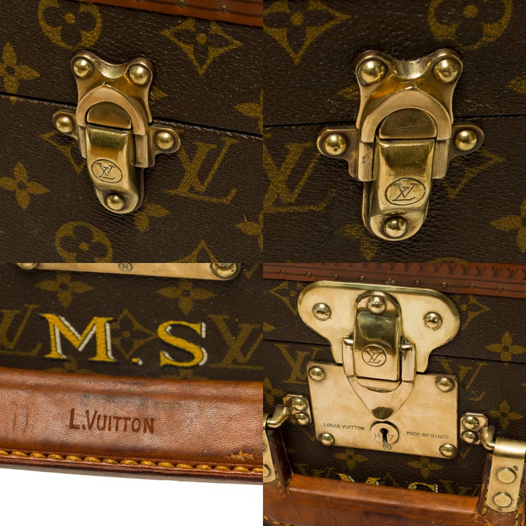 customized-louis-vuitton-bisten-60-dog-kennel-for-small-dog-in-brown
