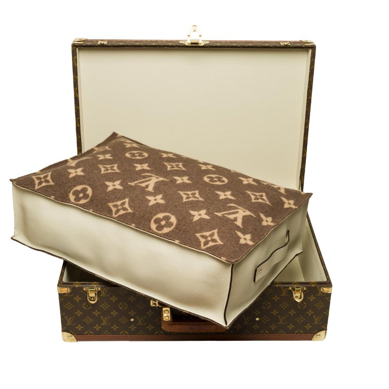 customized-louis-vuitton-bisten-60-dog-kennel-for-small-dog-in-brown