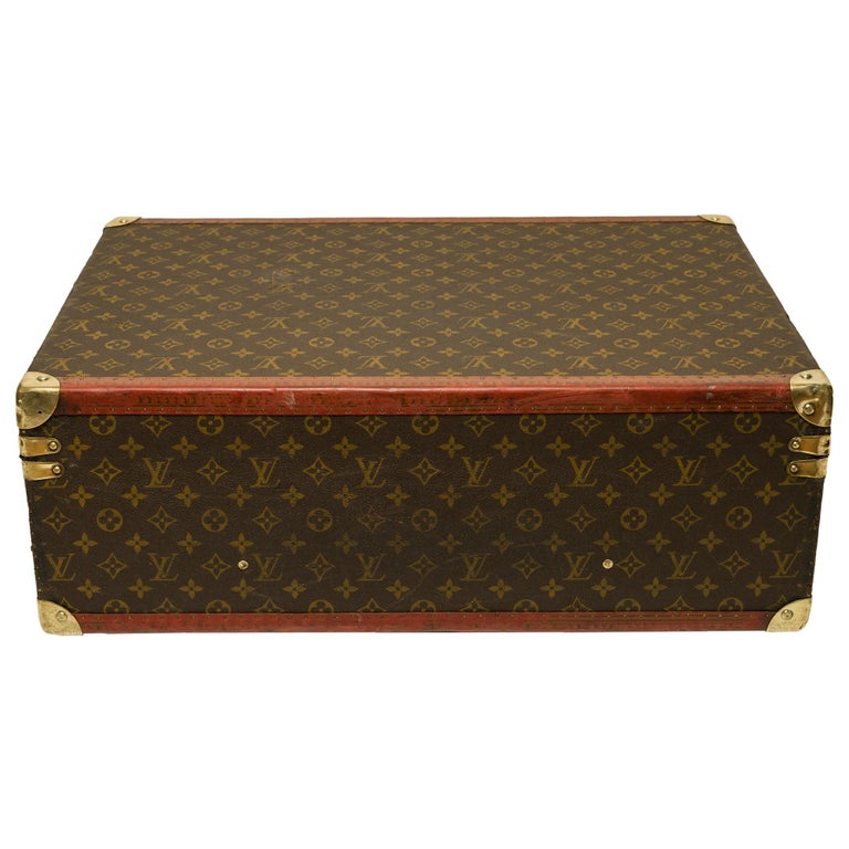 customized-louis-vuitton-bisten-60-dog-kennel-for-small-dog-in-brown