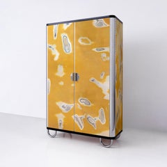 Customized Two-Door Wardrobe, Graphical Polished Lacquer, Chromium Plated Metal
