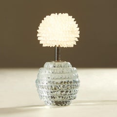 Carved and hand polished glass  'Dandelion' lamp with Glass Crystal Shade